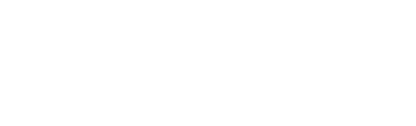 Finance Team at Gino Mariani Logo